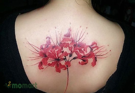 Hình xăm hoa bỉ ngạn ở sau lưng cho nữ