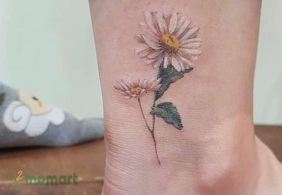 Hình xăm hoa cúc mini ở chân