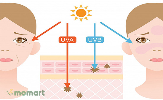Tác hại của tia UV với da của bạn