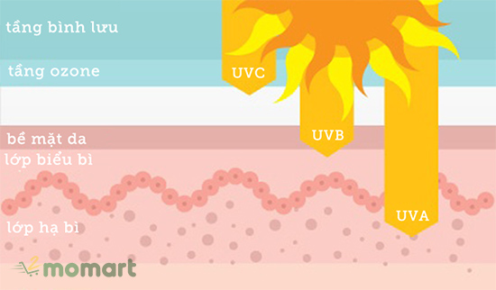 Tia UV nào nguy hiểm nhất là gì?