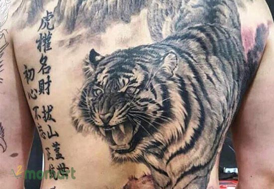 Ý nghĩa hình xăm hổ xuống núi Tattoo hổ hạ sơn  ALONGWALKER
