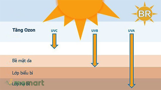 Các nhóm tia UV gây hại có trong ánh nắng