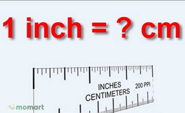 Một inch bằng bao nhiêu cm? Công cụ quy đổi inch ra cm nhanh nhất