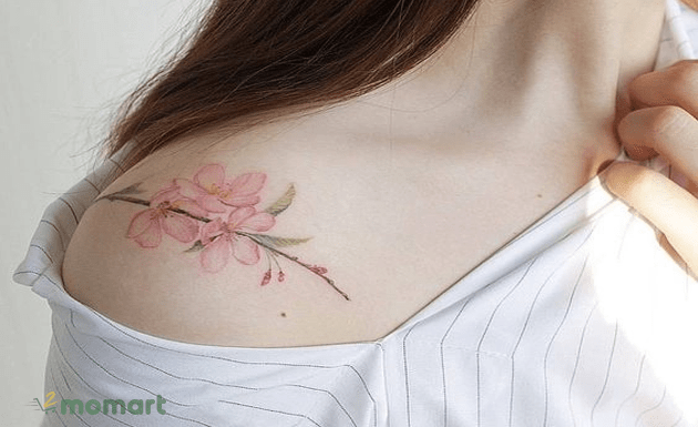 XĂM HÌNH HOA ANH ĐÀO kín lưng  Cherry Blossom Tattoo  YouTube