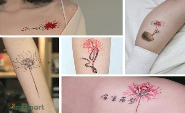 99 Hình Xăm Hoa Văn Thái Lan Đẹp Nhất  1001 Tattoo Thái Ghim Trên Hình  Xăm Đẹp