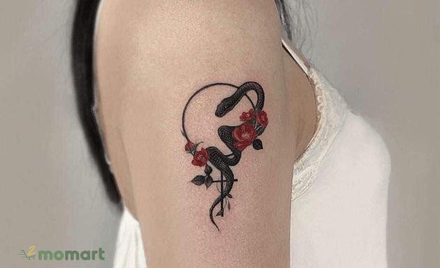 Ý nghĩa hình xăm rắn và tổng hợp các mẫu hình tattoo siêu đẹp