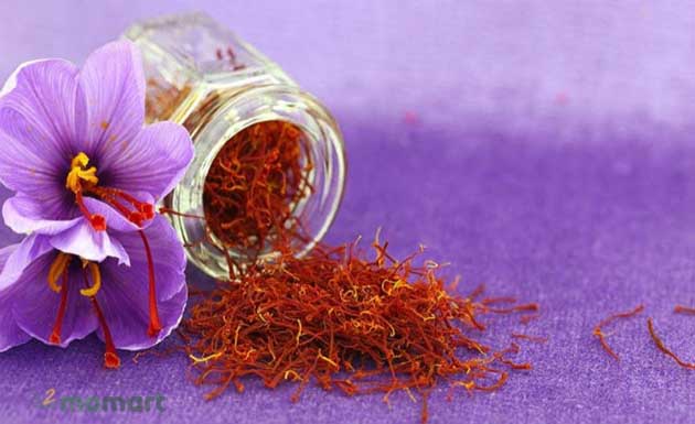 Nhụy hoa nghệ tây có tác dụng gì? Cách sử dụng Saffron hiệu quả