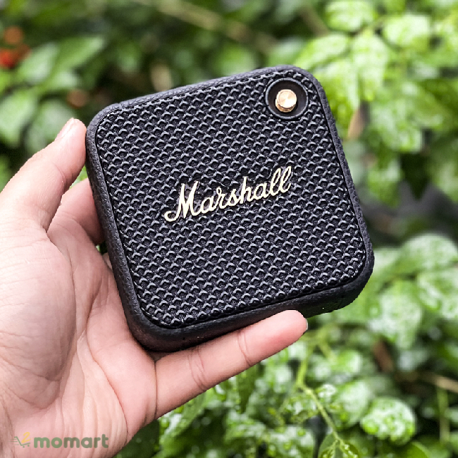 Loa Bluetooth Marshall Willen nhỏ gọn dễ cầm nắm