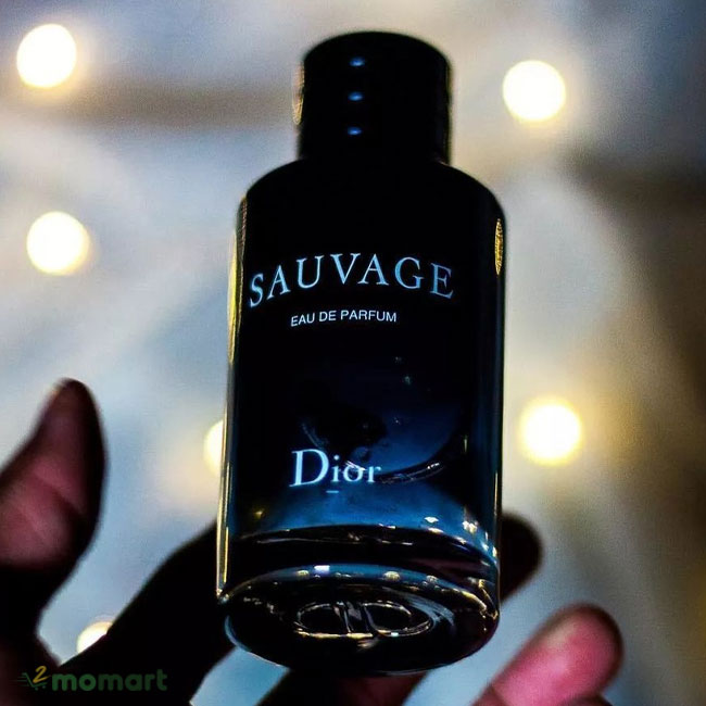 Review nước hoa Dior Sauvage EDP  Beauty Place Blog