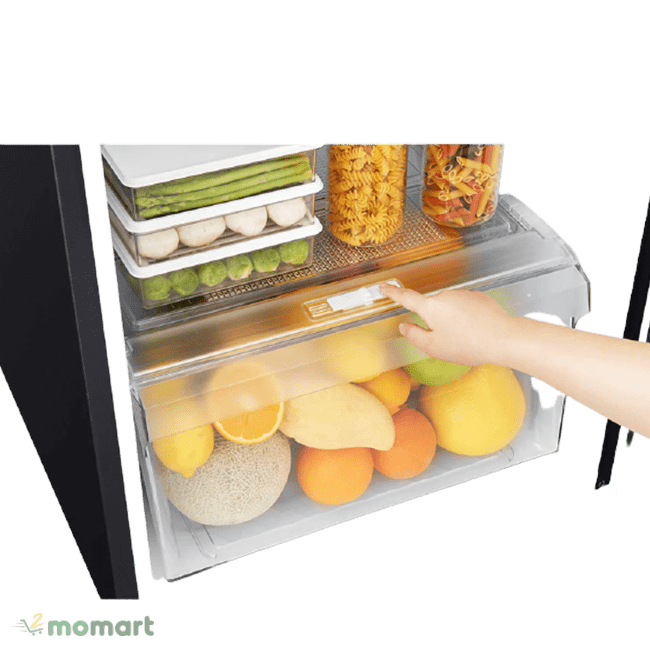 Tủ lạnh LG GN-L205WB ngăn hoa quả