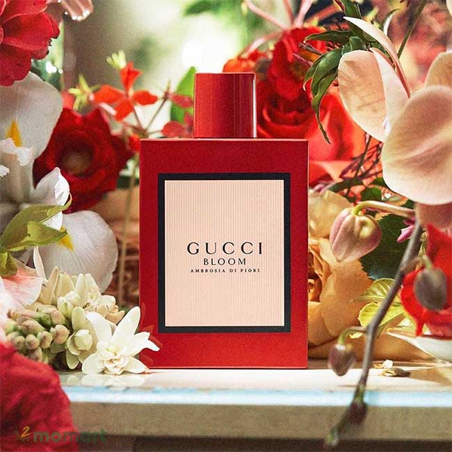 Nước hoa Gucci Bloom màu đỏ