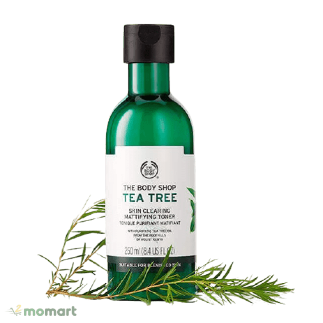 Thành phần tràm trà của The Body Shop Tea Tree Skin Clearing Toner