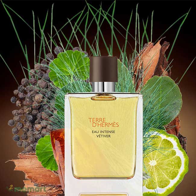 Hương thơm của Terre d’Hermes Parfum