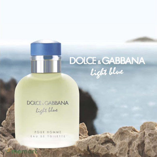 D&G Light Blue Pour Homme thích hợp sử dụng đi du lịch