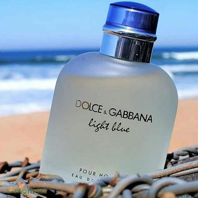 D&G Light Blue Pour Homme thích hợp cho mùa hè