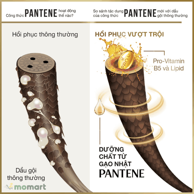 Dầu xả Pantene chính hãng giá tốt ngăn rụng tóc