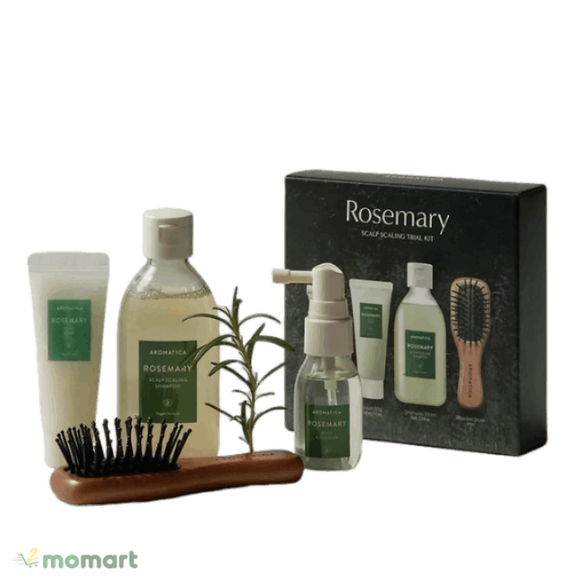 Xịt dưỡng tóc Aromatica Rosemary Root Enhancer hương thảo giúp kích thích mọc tóc